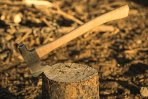 stump removal Adelaide